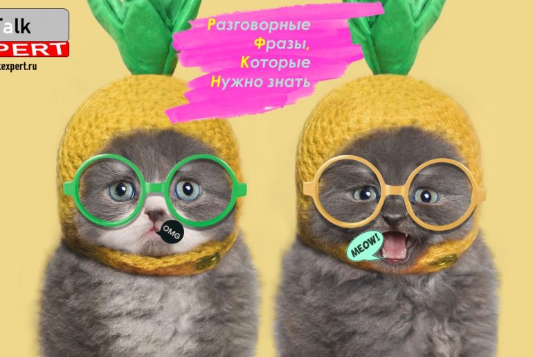 Разговорные английские фразы, которые нужно знать! Разговорный английский для начинающих.