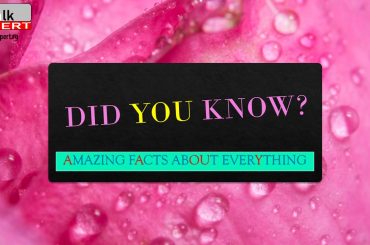 DID YOU KNOW? Удивительные факты обо всем! На  Английском языке!