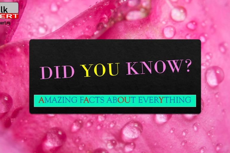 DID YOU KNOW? Удивительные факты обо всем! На  Английском языке!